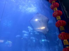 -蓬莱欧乐堡海洋极地世界