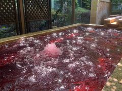 -春晖园度假酒店温泉