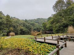 -天目湖山水园