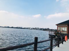 -鹅湖玫瑰文化园