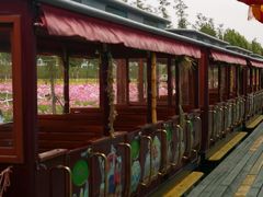 -兰陵国家农业公园