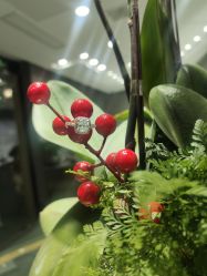 -钻石小鸟钻戒婚戒定制(石路店)