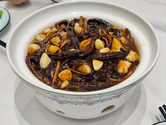 -丁老爷子苏香圆