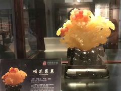 -中华赏石园