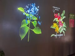 -厦门诚毅自然探索馆