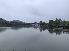 -长广溪湿地公园