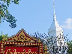 -西双版纳傣族园