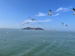 -海驴岛(荣成市)