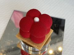 -北京柏悦酒店·锦庭餐厅Dining Room