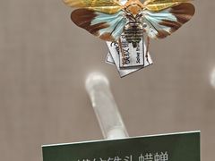 -国家自然博物馆