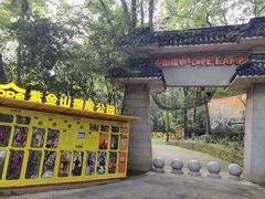 -紫金山山顶公园
