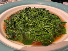 -上海总会SHANGHAICLUB(兴业太古汇店)