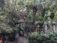 -宝园酒家(美林M·LIVE天地东座店)