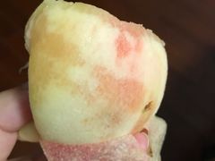 -南汇水蜜桃采摘(大团店)