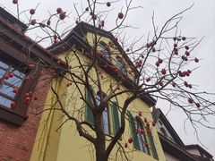 -歌斐颂巧克力小镇