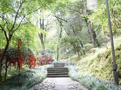 -梦姑塘文化公园
