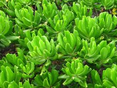 -龙坑生态保护区