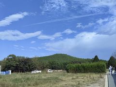 -秦始皇帝陵博物院(兵马俑)