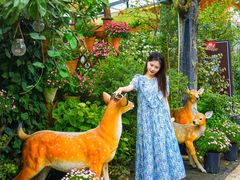 -大隐花事(熊婆婆的花园店)