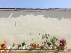 -马白开来特色羊排揪片子  (总店)