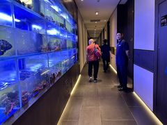 -隆聚时令海鲜(一舟店)