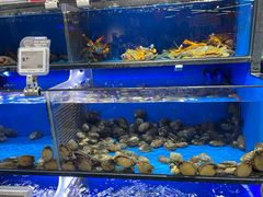 -盒马鲜生(双清路店)