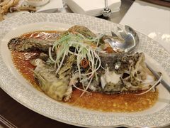 -秦月轩·陕西家乡菜(阜成路·五棵松店)