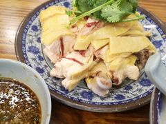 -九斤黄三黄鸡专卖店