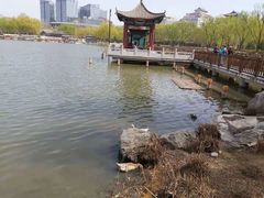 -莲花池公园