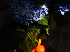 -concerto协奏曲咖啡店