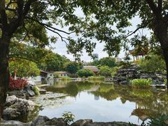 -顺峰山公园