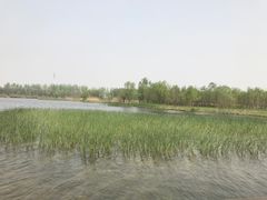 -溱湖国家湿地公园