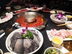-大龙燚火锅(春熙店)