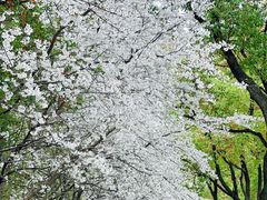 -玉山公园