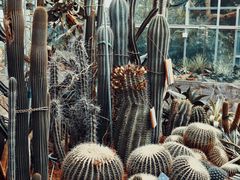 -国家植物园南园