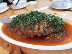 -老字号怡玺·藿香雅鱼(20年雅安店)