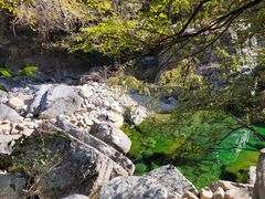 -石台牯牛降景区