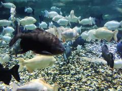 -成都浩海立方海洋公园