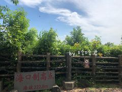 -海口火山口国家地质公园