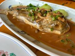 -天正河鲀·河豚亭(大连店)