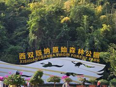 -西双版纳原始森林公园