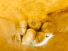 甜瓜-金鼎轩(安贞里店)