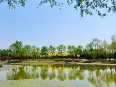 -东郊湿地公园