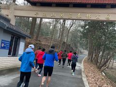 -午潮山国家森林公园