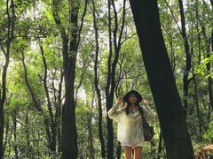 -火炉山森林公园