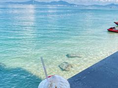 -广东惠东海龟国家级自然保护区