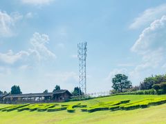 -川南大草原