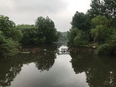 -溱湖国家湿地公园