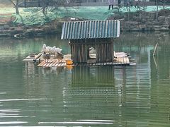 -团城山公园