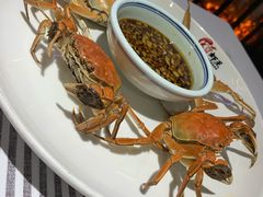 清蒸大闸蟹-熊记虾王·小龙虾(东晓南店)